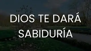 Estos Proverbios Bíblicos Te Llenarán de Sabiduría Divina | Biblia Hablada  #god #jesus #usa