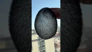 ultra short hair pu hole toupee for men #hairpiece #hairreplacement #braidedstyles #toupee for men