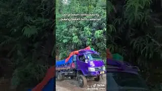 truk Dyna perdana di lintasan trans Papua #offroad #4x4offroad #mobil4x4 #automobile #offroadextreme