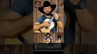 AMOR DE PRIMAVERA - Base X Solo | Viola e o Violeiro #musica #sertanejo #auladeviola #caipira