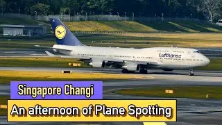 Plane Spotting Changi Airport Singapore: The Ultimate Plane Spotting!