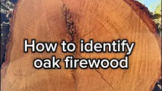 Learn how to identify oak firewood