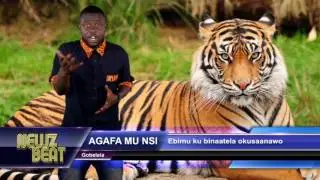 AGAFA MU NSI:Ebimu ku binaatela okusaanawo(S4 episode 24 NewzBeat Uganda)