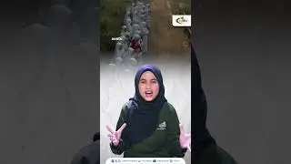 Siksa kubur beneran ada nggak sih? #SiksaKubur #Muhammadiyah #tvMu #CerdasMencerahkan #shorts