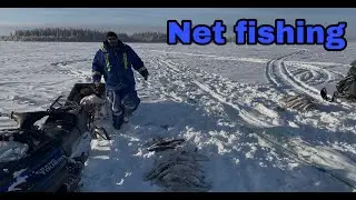 Net fishing