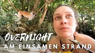 24 Stunden tropisches Insel-Abenteuer: Tolle Wildlife-Überraschung & mal wieder Fischerboote!