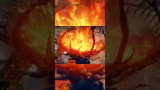 Ng+8 Enemies and Their Crazy HP Pools