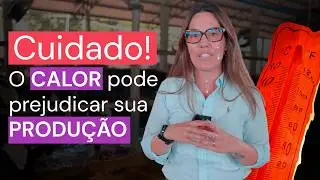 Estresse térmico: como o RESFRIAMENTO na LINHA DE COCHO protege a produção de leite