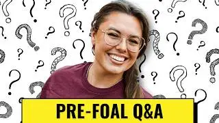 Answering Your Most Asked Questions!