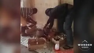 SHIFTING OF THE BIRDS TO THE PREFERED PLACE