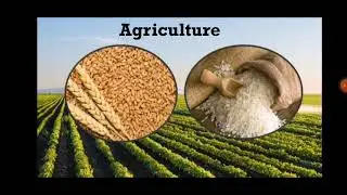 Std IX (Class 9) / Maharashtra Board / History / Industry and Trade