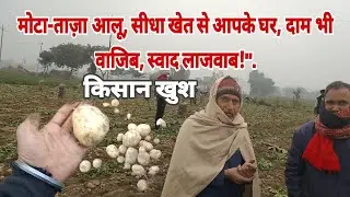 #aalu #kisan सबसे अच्छी आलू की किस्में | घर पर उगाएँ ये आलू! किसान खुश ❤️🙏.... #viral #vlog #youtube