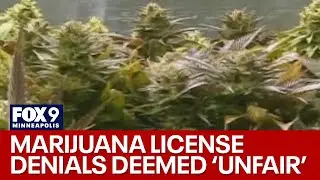 Minnesotans hoping for recreational marijuana licenses say process had kinks in it