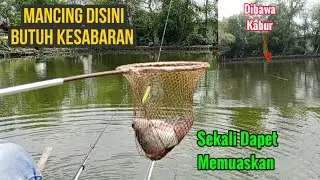 Mancing Dimarunda,Kesabaran Membuahkan Hasil || Rezeki Mancing Dapat Babon Besar