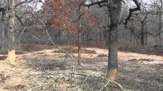 TGR Hog Hunting Tips for Success