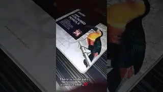 unboxing Brustro Artists coloured pencil new shades of 24 #Brustro  #unboxing #asmr #shorts