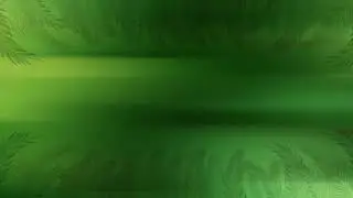 FREE Dark Green Palm Branches Motion Background | Church Worship Visuals 064