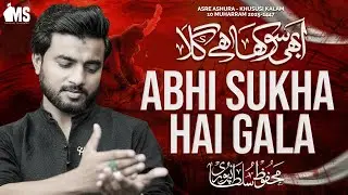 Shimr Khanjar Ko Rok Le Abhi Sukha Hai Gala | Mahfooz Sultanpuri | 10 Muharram Noha 2025/1447