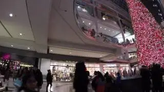 epic Christmas tree