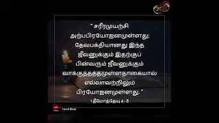 1 தீமோத்தேயு அதிகாரம் 4 || 1 Timothy Chapter 4 || Tamil Bible Audio || New Testament