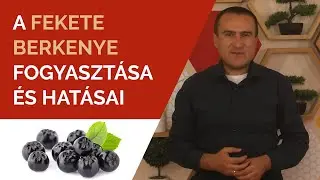 A fekete Berkenye fogyasztása és hatásai