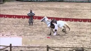 LA BATAILLE DU DONJON DU PUY DU FOU.