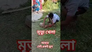 Snake Rescue Mistakes | Educational Review for Public Safety | SNAKE SAFARI