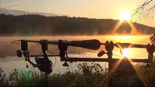 Erfolgreich Karpfenangeln am See! Angeln auf gro&szlig;e Karpfen!