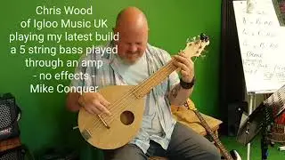 prototype small bass  - 5 string - internal piezo pickup