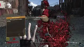 Borderlands - PS3 cheats