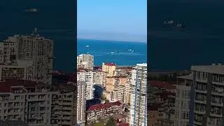 Ловля хамсы в #batumi