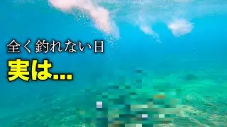 全く釣れない日の水中映像が異次元すぎた...【中部の磯】