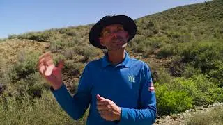 What Is The Best Weed Killer For Northern Arizona?