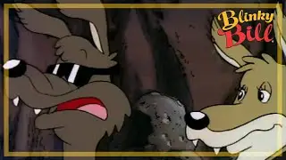 BLINKY BILLS TREASURE HUNT - Episode 17 - The Adventures of Blinky Bill