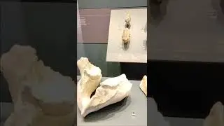 Museo de san isidro.