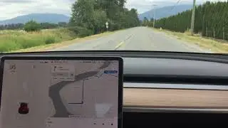 2020 Tesla Model 3 standard plus acceleration