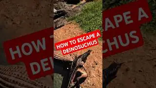 How to Survive a Deinosuchus Attack in The Isle! #theisle #theisleevrima #evrima #dinosaur #espa&ntilde;ol