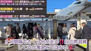 【2025年年末年始帰省ラッシュスタート・さくら号9分間隔で運転】臨時さくら577号運転のお陰でさくら549号自由席混雑分散に貢献！全車指定席のぞみ7号も依然混雑が続く様子‼️