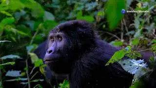Discover Africa's Hidden Gems