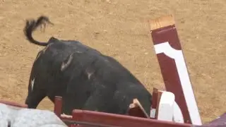 😱 TORO ROMPE LAS MADERAS DE LA PLAZA!  CAPEA VILLAREJO DE SALVANES SEPTIEMBRE 2023