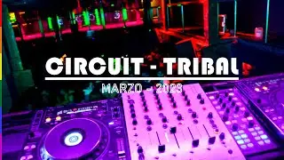 Mix Circuit & Tribal [ 2023 ] - 🤤