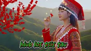 Hlub Los Tsis Tau 💔 | Nkauj Hmoob Tu Siab | Cover 2026