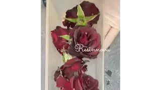 طريقه تجفيف الورد لشغل الريزين #resin #resinnova #ريزين #تعليم #تجفيف #ورد