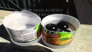 Black Shade Balls the Movie
