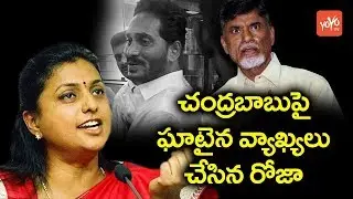 YCP MLA Roja Comments On Chandrababu Naidu | YS Jagan Latest News | YOYO TV Channel