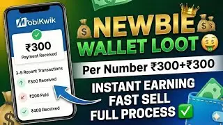 ₹300 INSTANT PROFIT! Newbie Wallet Loot (Full Process) 2026 #new_wallet_loot #earnmoneyonline 