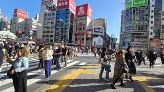 Tour around Shinguku Japan