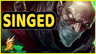 SINGED HIGHLIGHTS