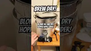 Brew day! Blonde ale and dry hopped apple cider! #homebrew #beer #cider #howto #diy #alcohol