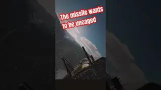 missile asks f-16 to be uncaged #dcs